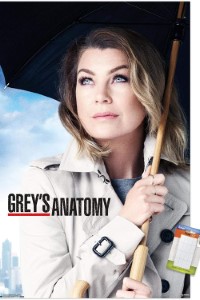 Download Grey’s Anatomy (Season 1-21) [S21E05 Added] {English With Subtitles} 720p Bluray [280MB] || 1080p [1GB]