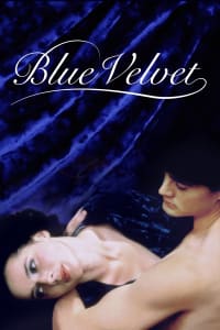 Download Blue Velvet (1986) Dual Audio {Hindi-English} Esubs BluRay 480p [399MB] || 720p [1.0GB] || 1080p [2.4GB]