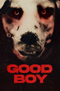 Download Good Boy (2022) Dual Audio {Hindi-Norwegian} BluRay 480p [350MB] || 720p [770MB] || 1080p [1.7GB]