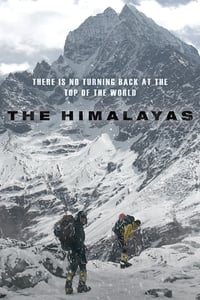 Download The Himalayas (2015) Dual Audio {Hindi-Korean} Esubs BluRay 480p [447MB] || 720p [1.1GB] || 1080p [2.5GB]